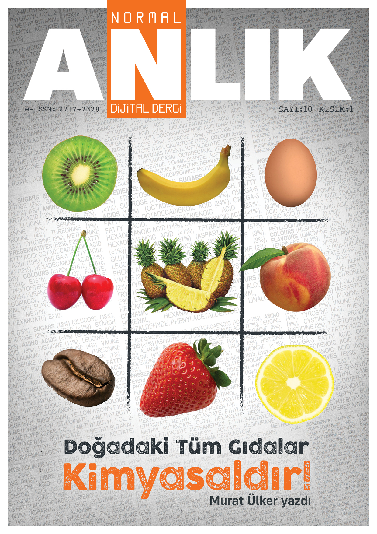 Sayı 10