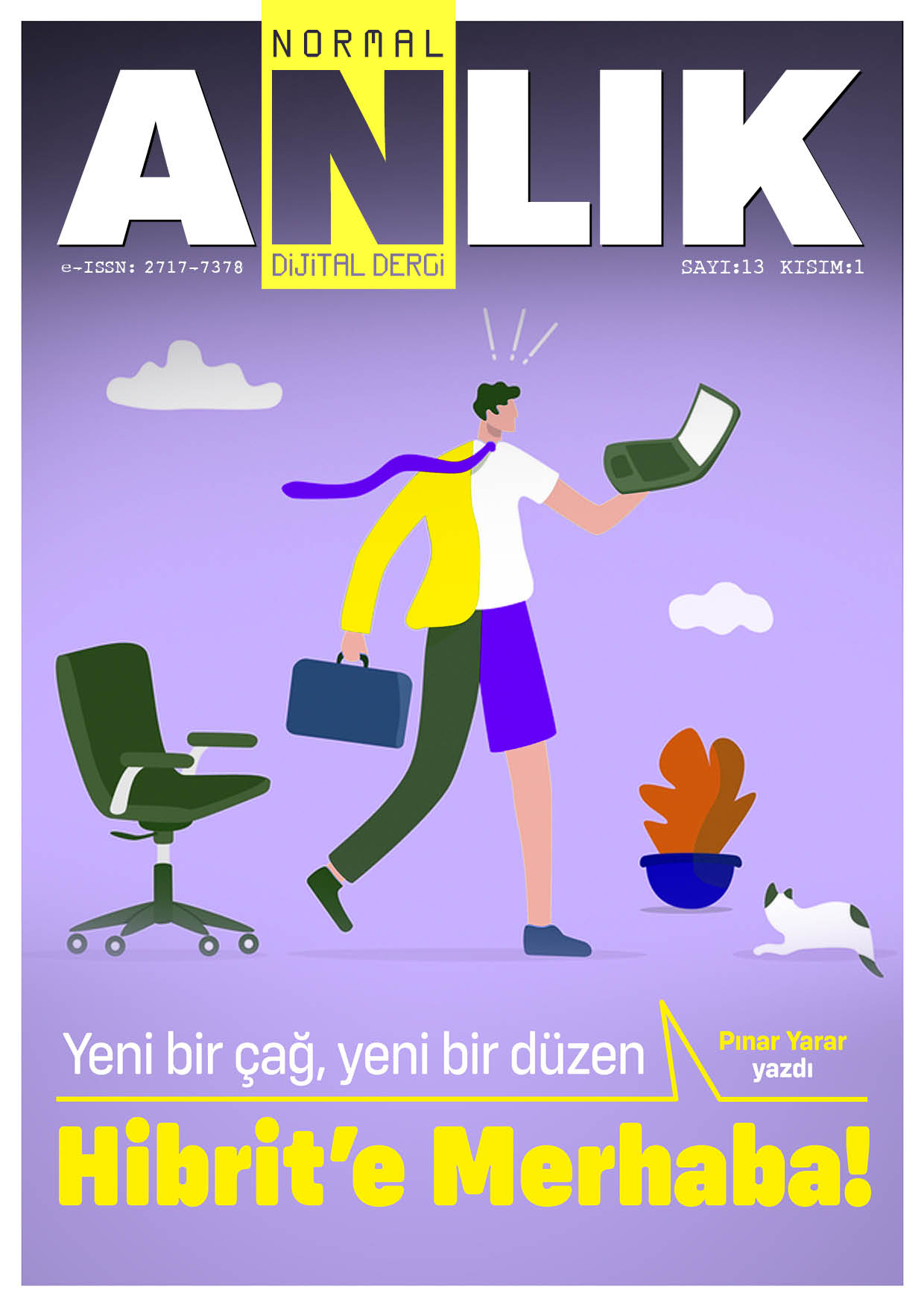 Sayı 13
