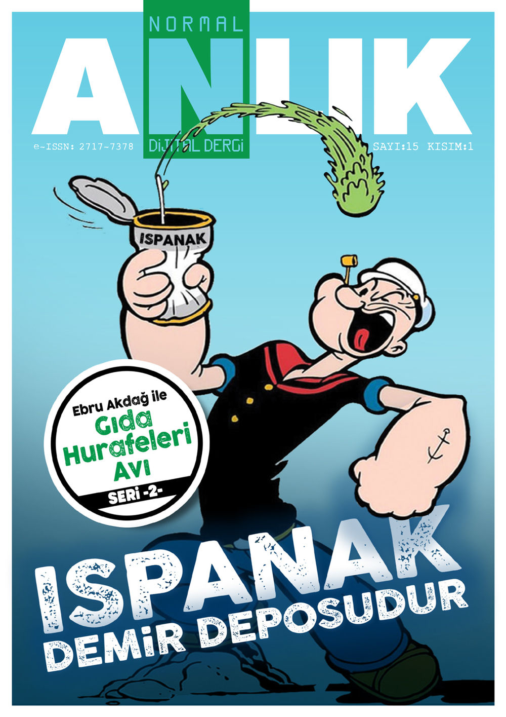 Sayı 15