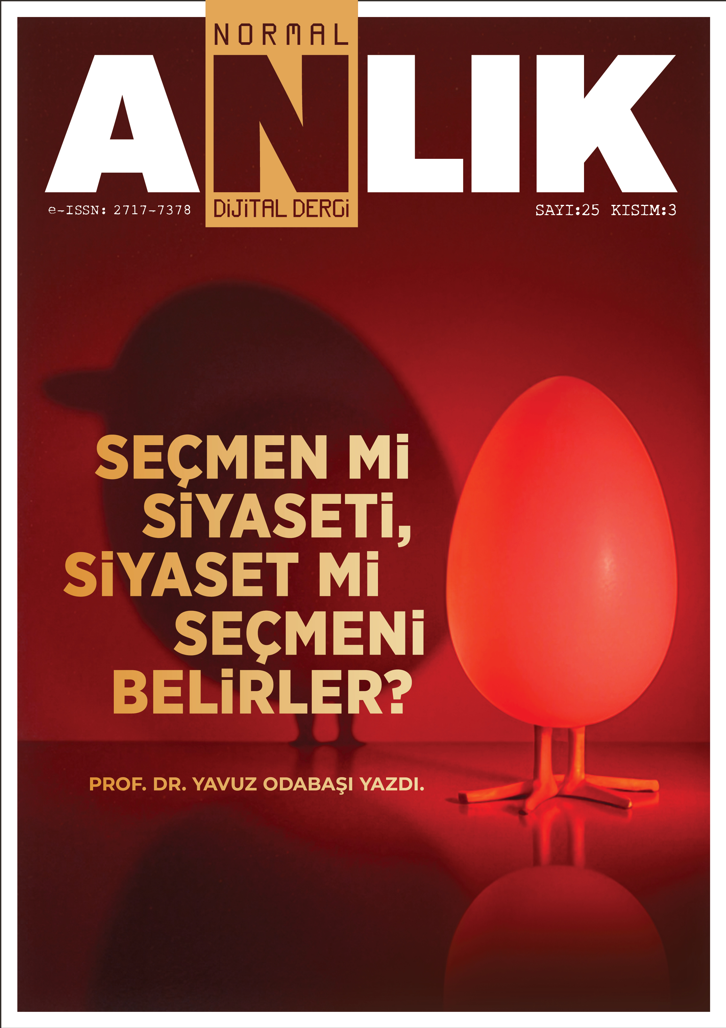 Sayı 25 kısım 3 kapağı