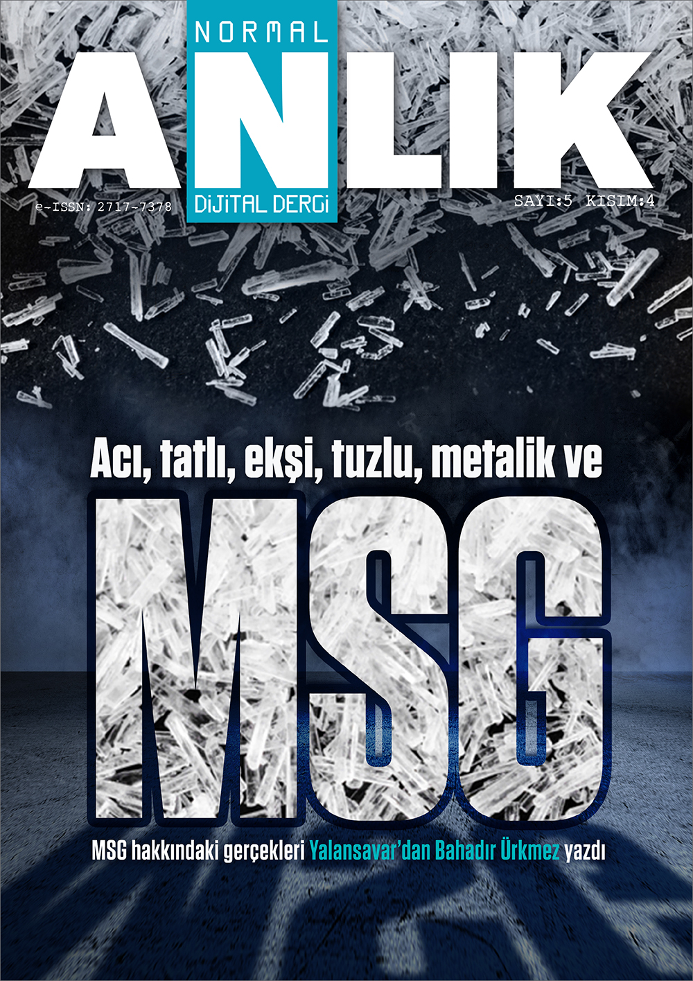 Sayı 5 kısım 4 kapağı